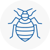 Bed Bug Extermination In Hertsmere