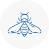 Bee Nest Removal Hertsmere