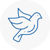 Bird Prevention Hertsmere