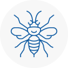Hertsmere Hornet Nest Removals