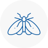 Moth Control Specialists In Hertsmere