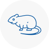 Rat Control Hertsmere