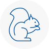Hertsmere Rodent Removals