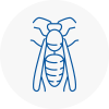 Hertsmere Wasp Nest Removal